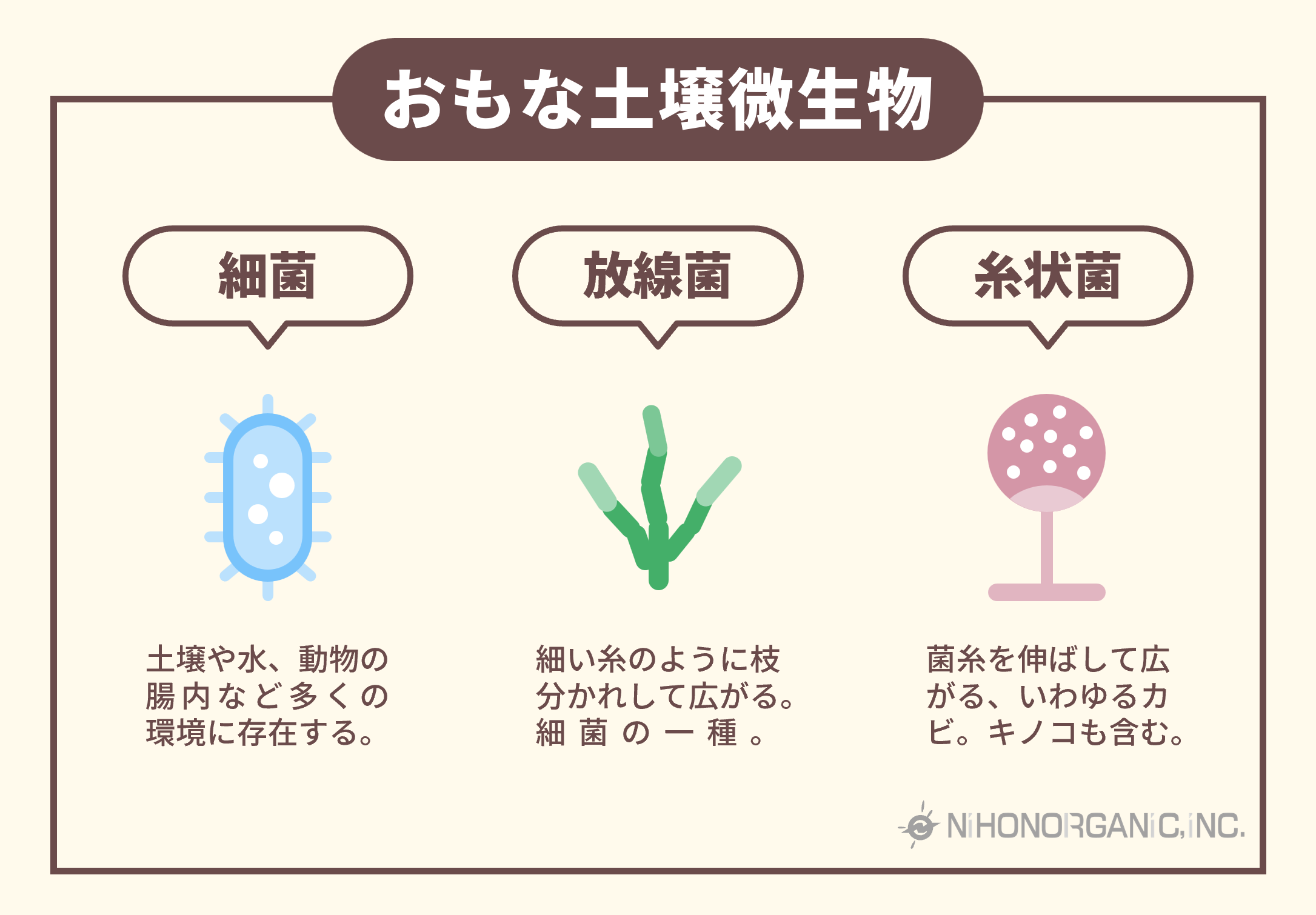 土壌微生物の種類
