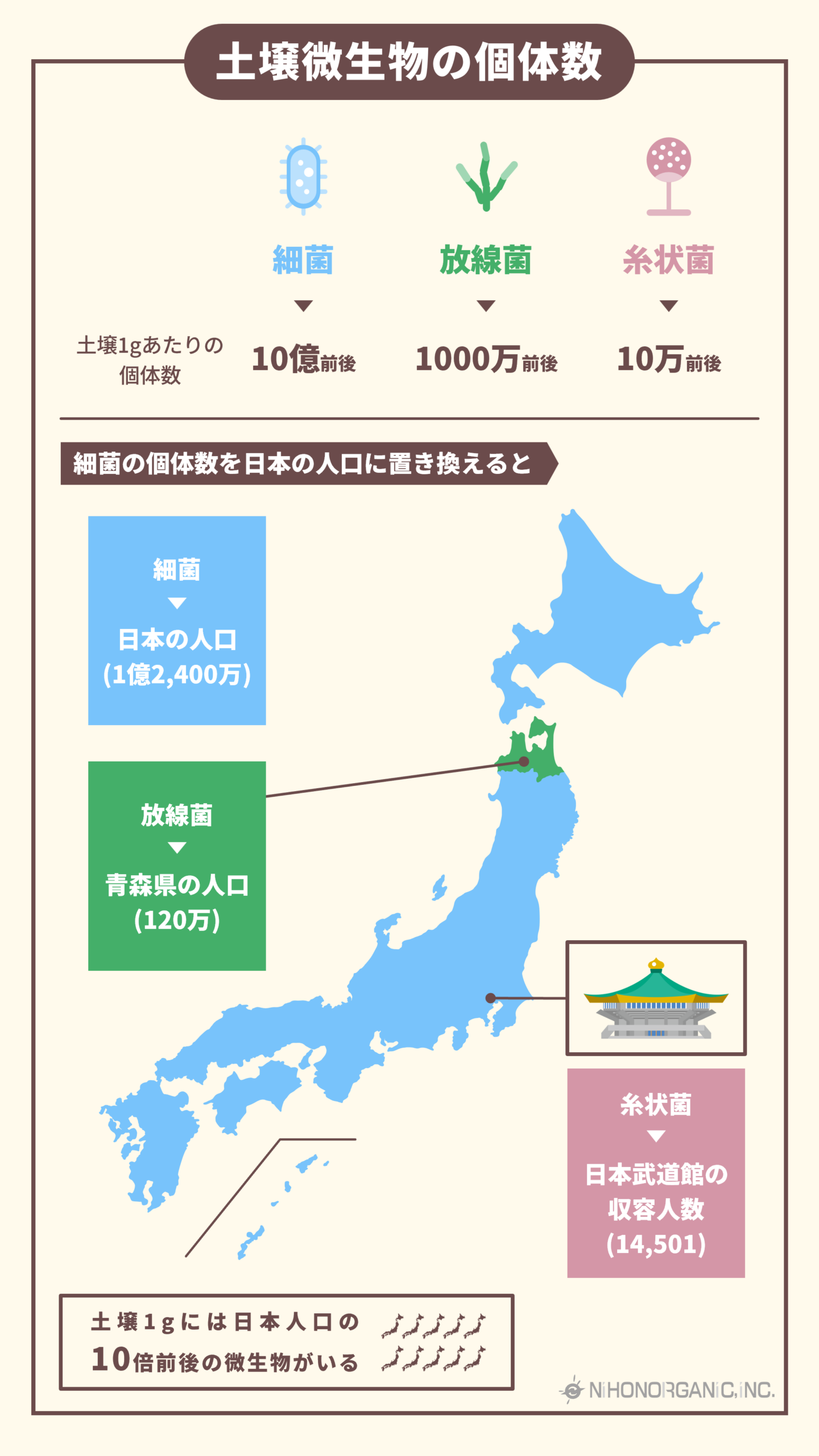 土壌微生物の個体数
